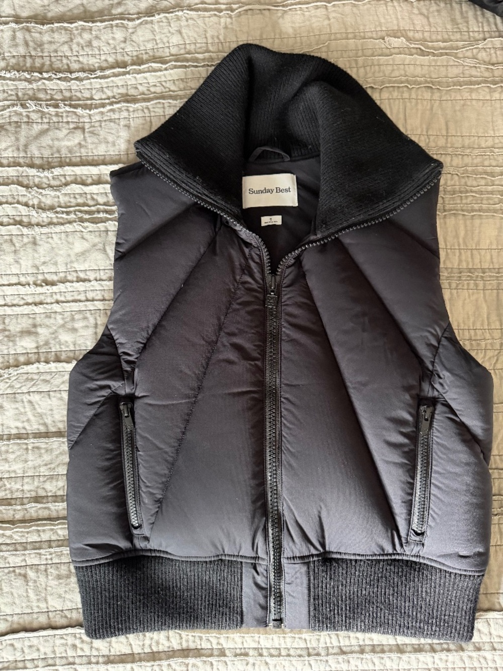 Aritzia  Down Vest